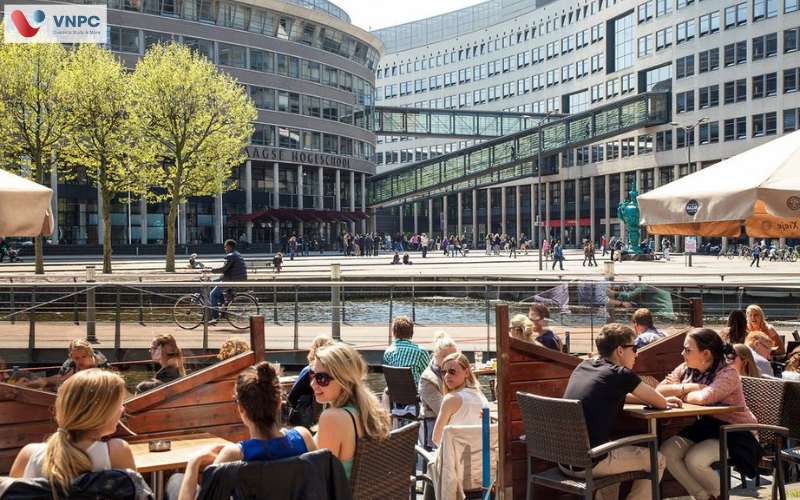 The HAGUE Pathway College – Lộ trình du học Hà Lan dễ dàng